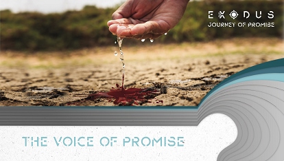 Journey of Promise: Voice of Promise